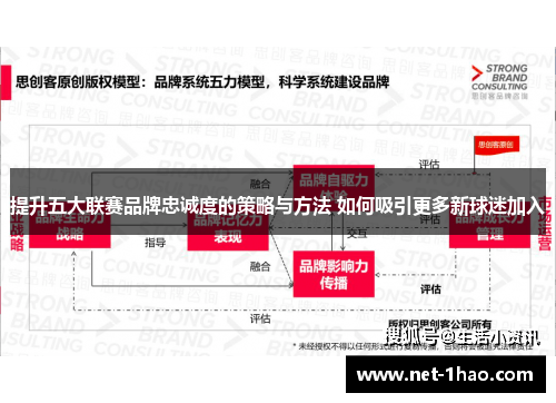 提升五大联赛品牌忠诚度的策略与方法 如何吸引更多新球迷加入