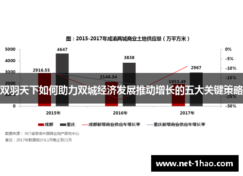 双羽天下如何助力双城经济发展推动增长的五大关键策略