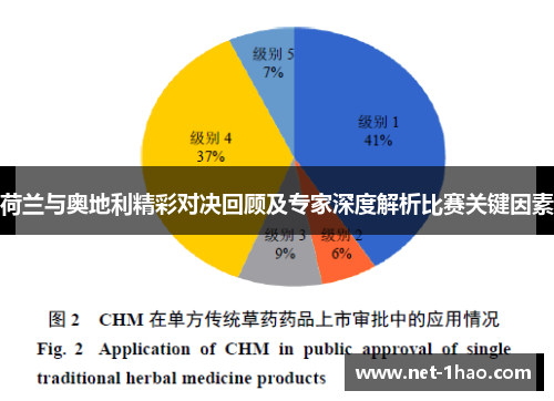 荷兰与奥地利精彩对决回顾及专家深度解析比赛关键因素