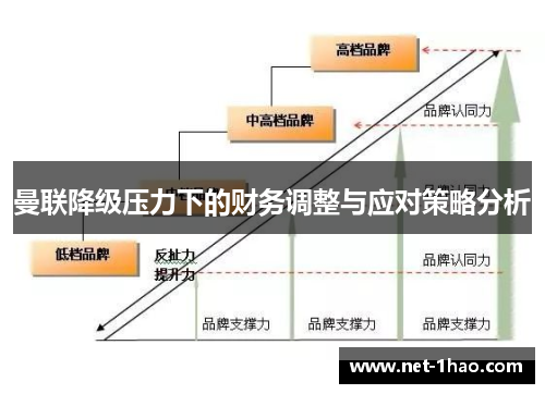曼联降级压力下的财务调整与应对策略分析