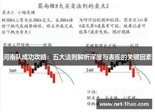 河南队成功攻略：五大法则解析深度与表现的关键因素