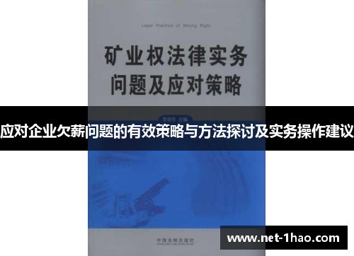 应对企业欠薪问题的有效策略与方法探讨及实务操作建议