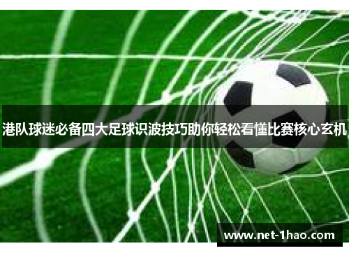 港队球迷必备四大足球识波技巧助你轻松看懂比赛核心玄机