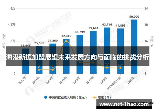 海港新援加盟展望未来发展方向与面临的挑战分析